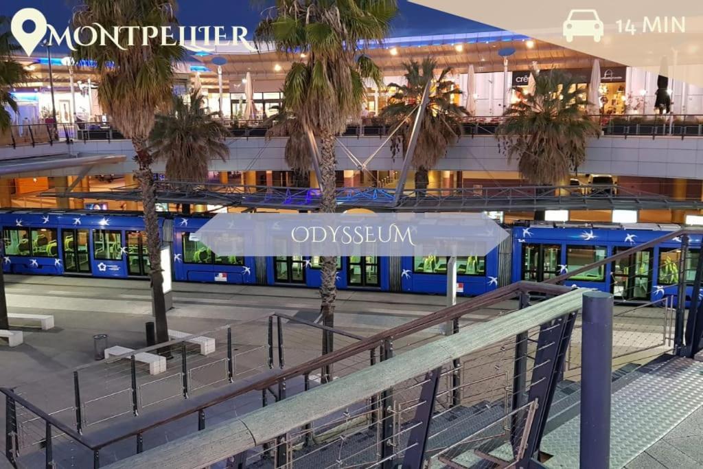 016- T2 Tropisme, Appart 1 Chambre,Clim,Wifi,Parking Montpellier Exterior photo